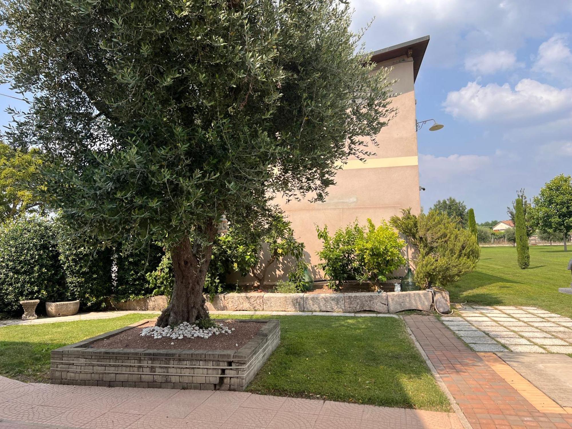 Appartamento Casa Vacanze Corte Ara Decima Sona Exterior foto